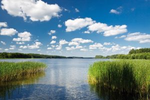 Ausblick auf den Zootzensee bei Rheinsberg